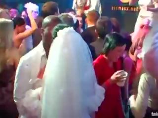 Magnificent oversexed brides chupar grande galos em público